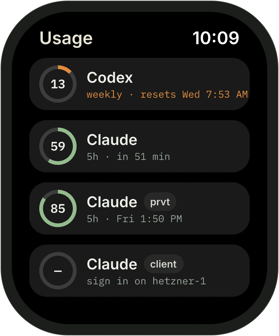 Apple Watch app design preview listing each login with its remaining usage